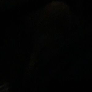 Meet your Posher, Alexander